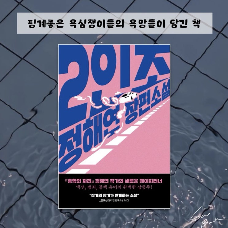  2인조 - 정해연 / 핑계좋은 허접한 욕망들이 담긴 책