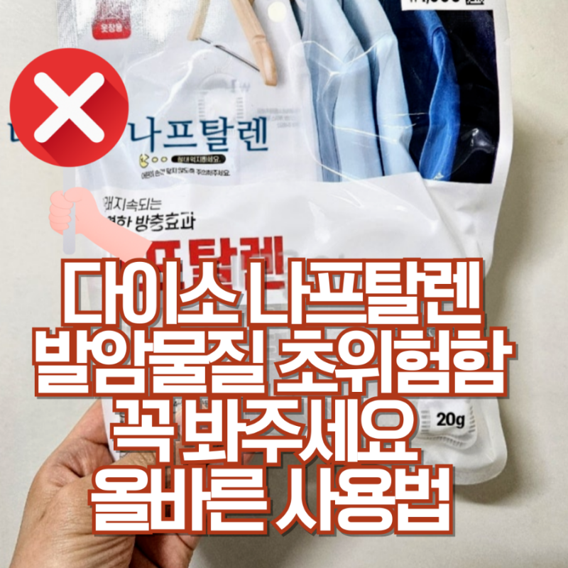 나프탈렌 발암 좀약 사용법 다이소 벌레 퇴치 자취템 (제발 꼭 보세요 )