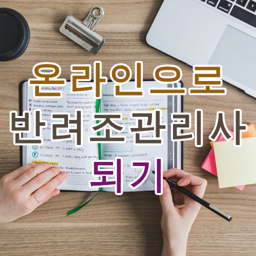  왕관앵무새 분양 , 반려조관리사 자격증 준비한 과정 확인하고 가세요