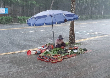 폭우 속 노점 할머니