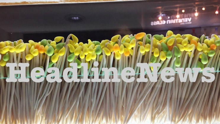2024년 8월 6일 화요일, HeadlineNews