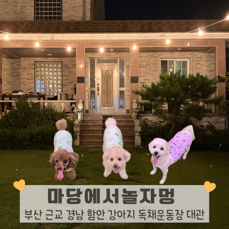 사진 2