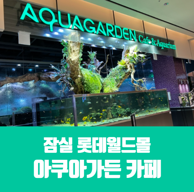 잠실 롯데월드몰 아쿠아가든 카페 / 수족관 카페