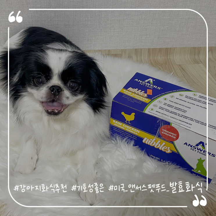  강아지화식추천 재패니즈친 기호성좋은 미국 앤서스펫푸드 발효화식