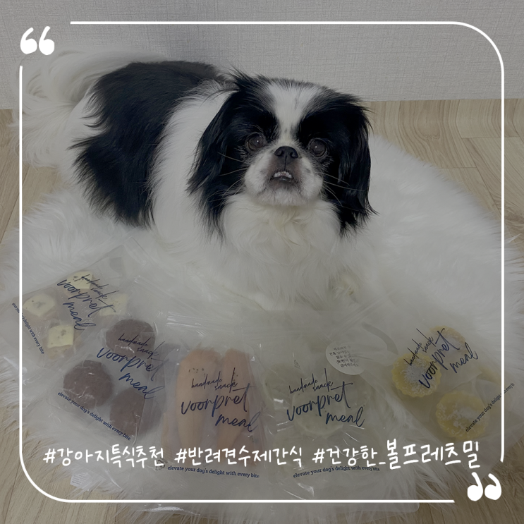  강아지특식추천 반려견수제간식 건강한 볼프레츠밀