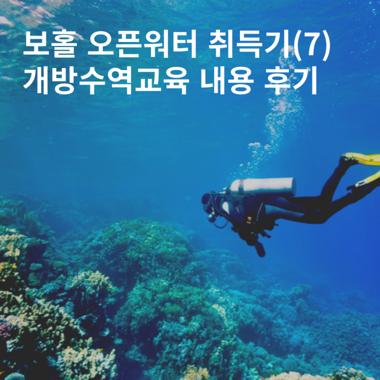  보홀 스쿠버다이빙 개방수역 오픈워터 자격증 후기 (7)