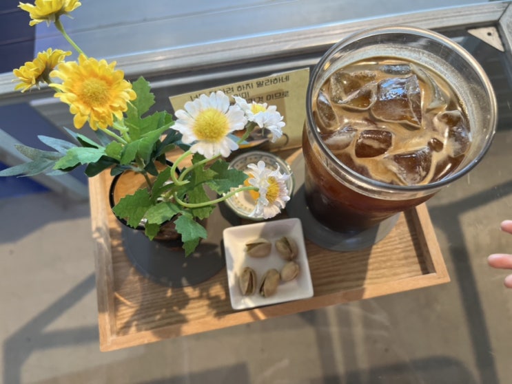  둔산동의 핫플레이스 소올투베이커리 둔산점 방문 후기
