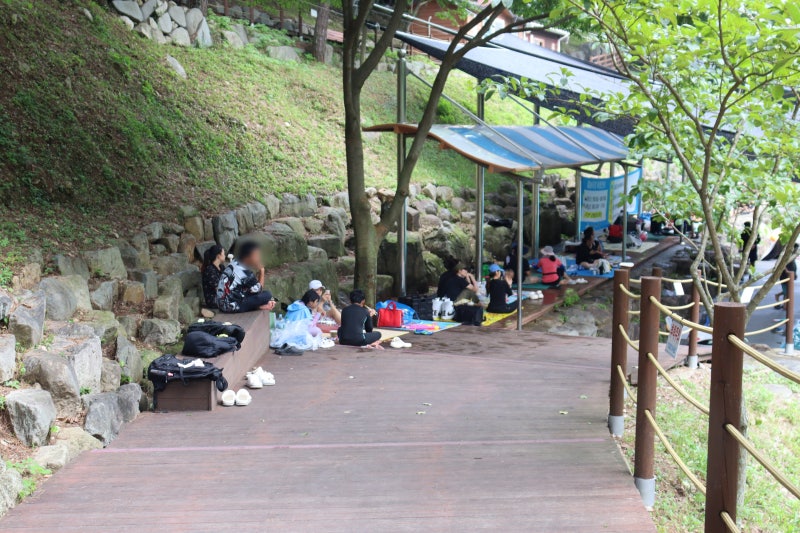 나주 금성산 생태물놀이장 입장료, 운영시간, 무료주차 : 네이버 블로그