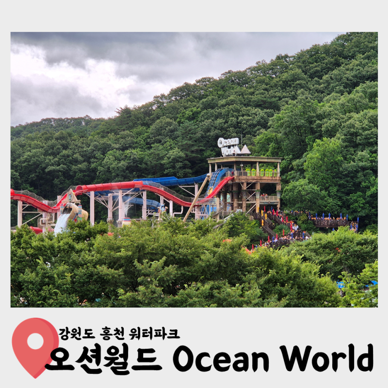 오션월드 | 7월 장마철 방문 눈치게임 실패 후기. 할인, 준비물, 야외락커, 먹거리, 게릴라콘....