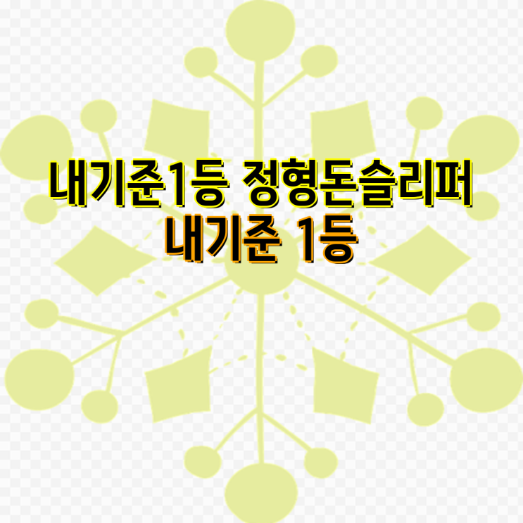 족저근막, <b>평발</b> 슬리퍼 추천... 엑슬리퍼, <b>플라이풋</b>, 생활잇다