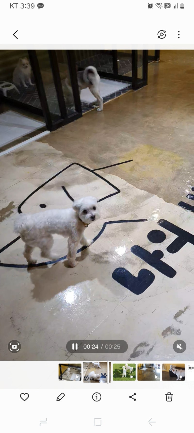 사진 5