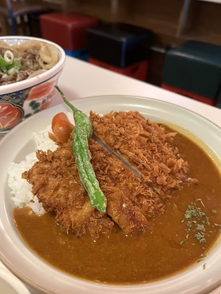  둔산동 돈까스 맛집 카린지린가네스낵바에서 아이와 토마토카츠카레 함박스테이크 규동 김치해장우동 먹은 후기