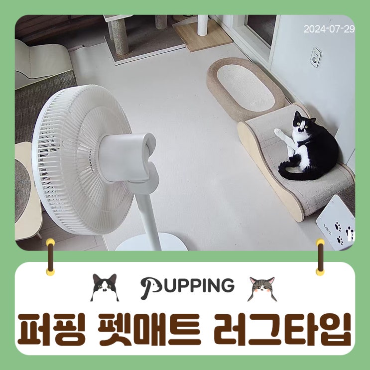  퍼핑 펫매트로 펫테리어를 완성해요 3개월 사용기