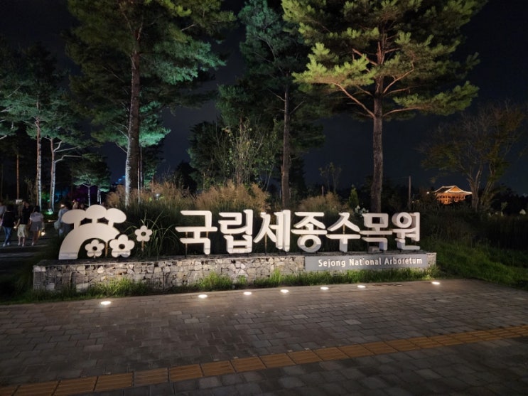  국립세종수목원 야간개장 방문 후기