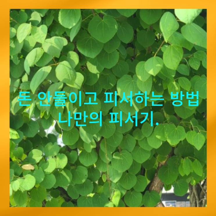  돈 안 들이고 피서하는 방법 - 나만의 피서기