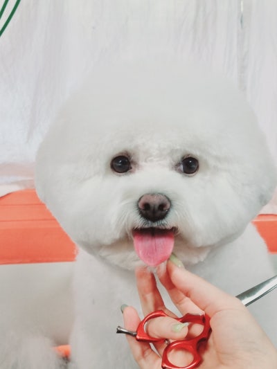 사진 2