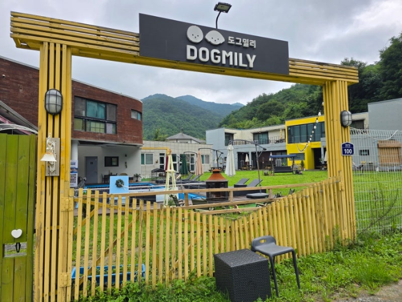 도그밀리펜션