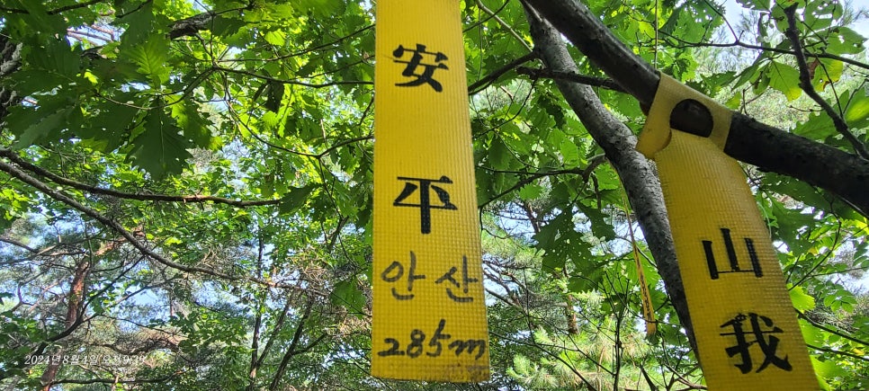 송이산 사진 4