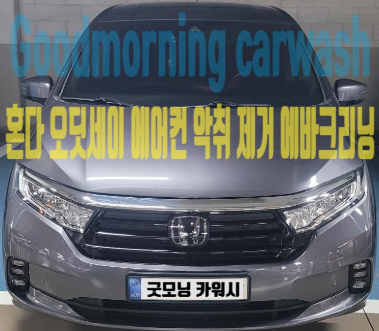  오딧세이 에바크리닝 분당 차량 실내 에어컨 곰팡이 제거 방법