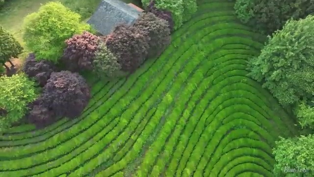  도봉구 도봉동 청년배관 세면대 하수구 막힘 비법 대공개