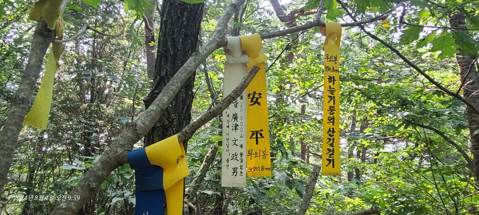 송이산 사진 5