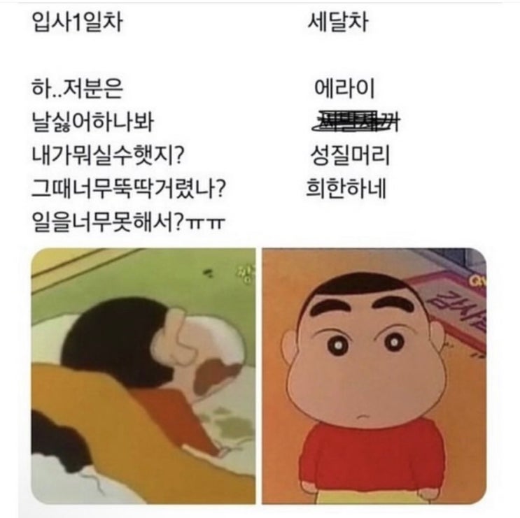  [7월 마지막 주] 평범한(?) 일상