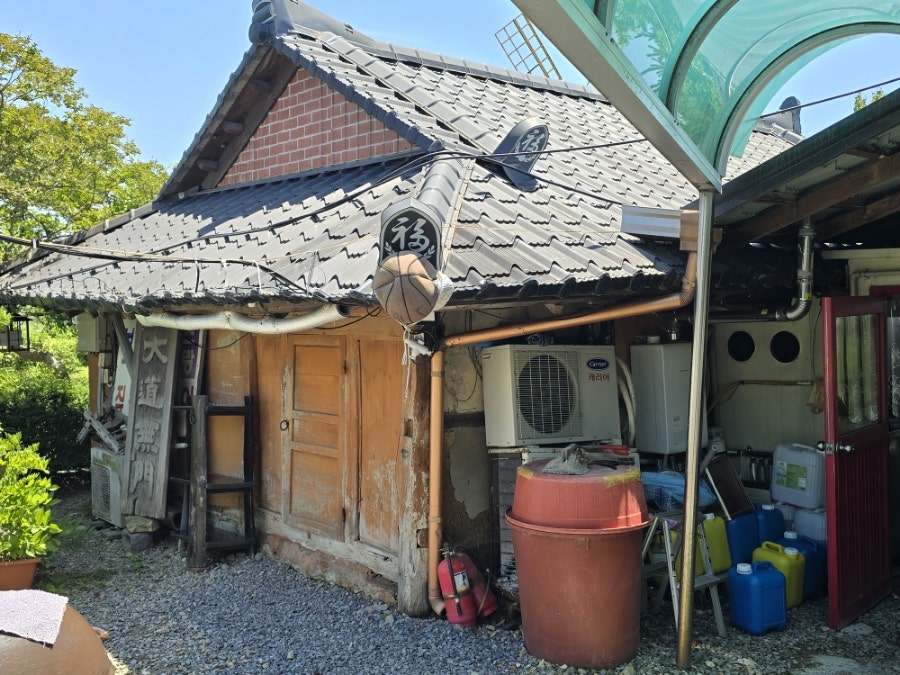 동해안참가자미 사진 2