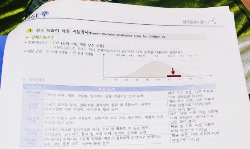  KAGE영재교육학술원 초2 웩슬러 검사 후기 상위 1%