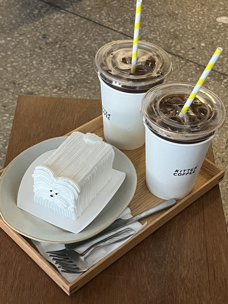  광주 맛집 카페 맛있게 먹었던 스페셜포토덤프 7