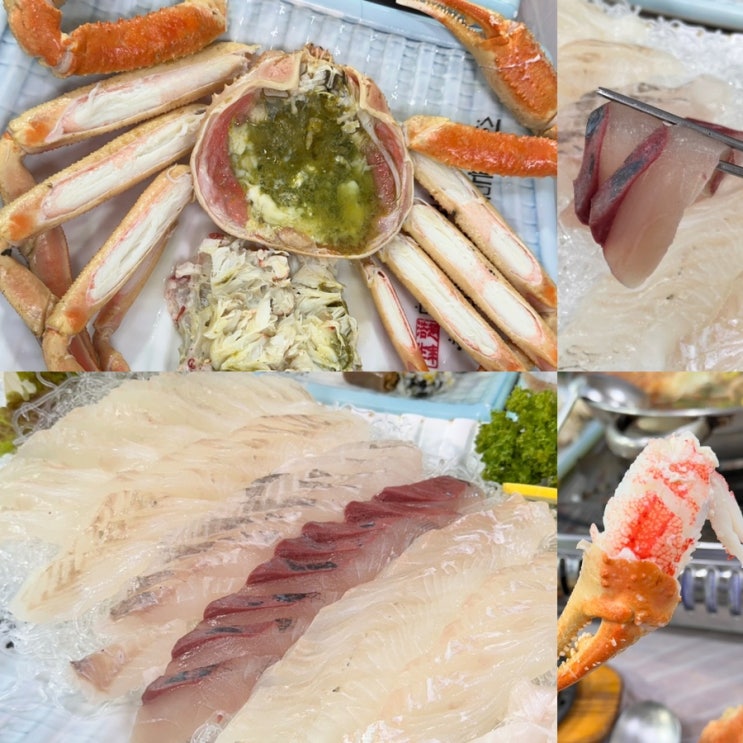  속초 맛집 현지인 추천 물회 대게 극찬한 동명항횟집 스끼다시천국