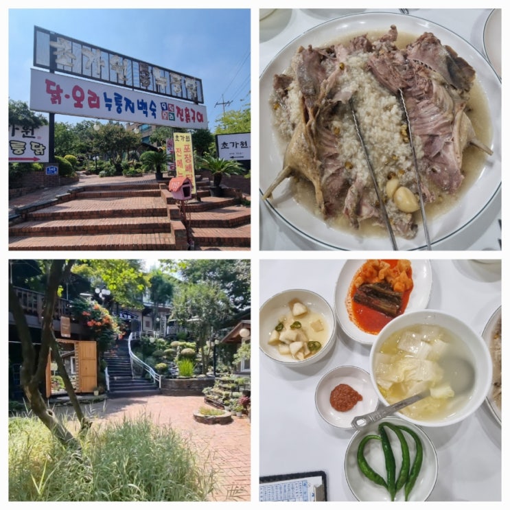  안산 맛집 초가원 닭 오리 누룽지 백숙