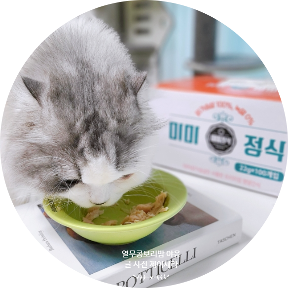  고양이간식 추천 전분 없는 미미정식 통 닭가슴살 급여하기