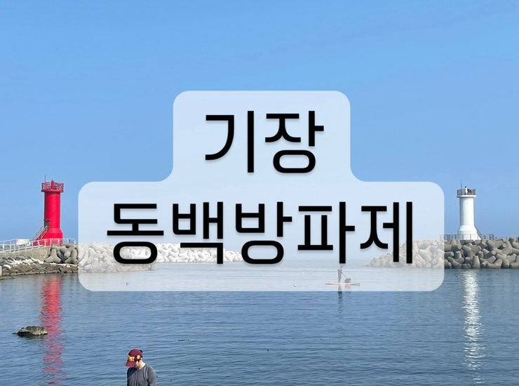 부산기장 바다수영 동백방파제 기장아이들과가볼만한곳 기장물놀이 바다낚시 텐트 취사가능한 곳