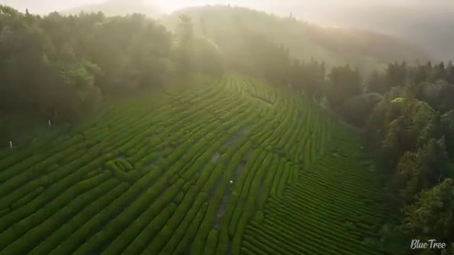  초등인강 순위 , 도움받았어요!