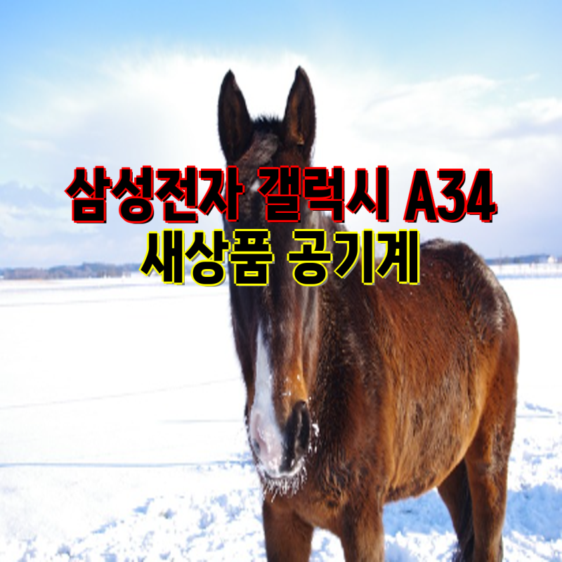 삼성전자 갤럭시 A34 및 A35 자급제 공기계 구매 가이드 | 갤럭시 A34, A35 자급제, 스마트폰, 128GB