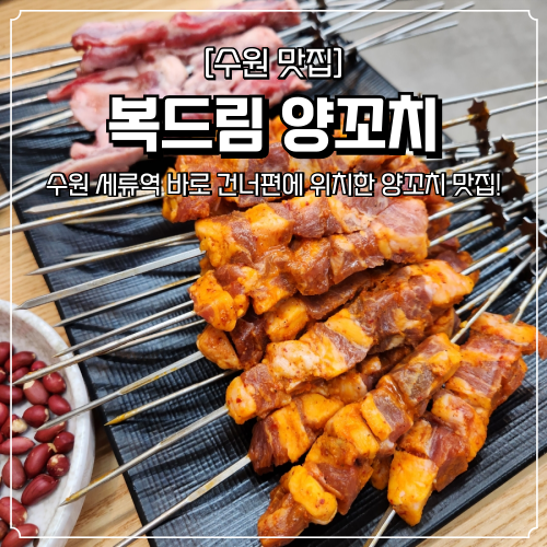  수원 세류동 맛집 복드림양꼬치 세류역 근처
