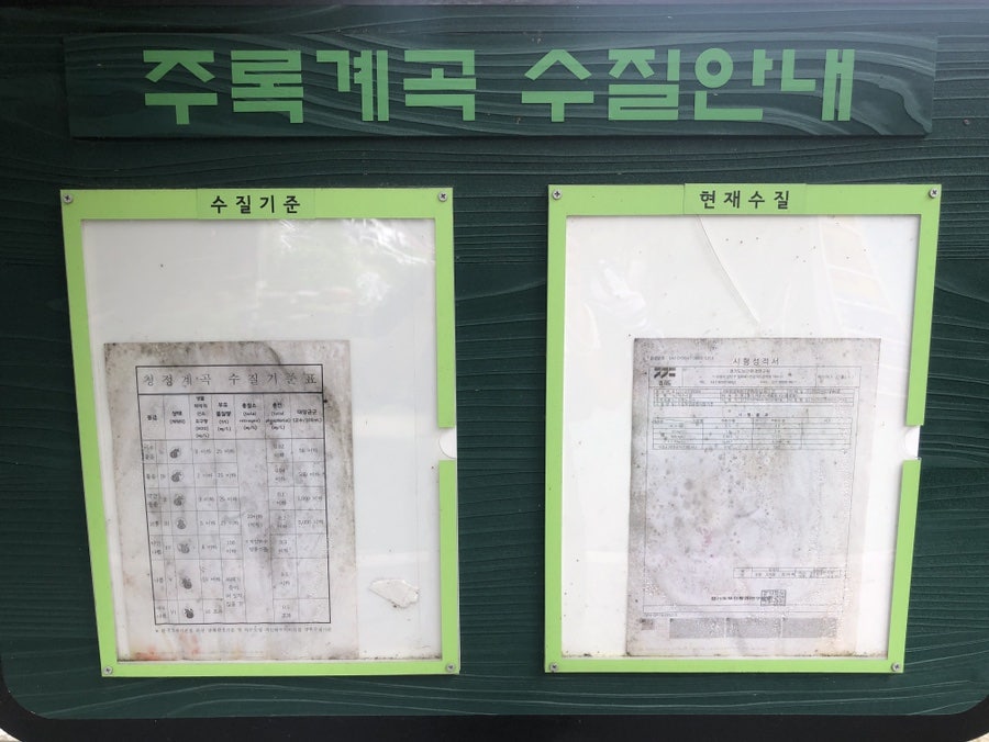 푸른하늘은하수 사진 5