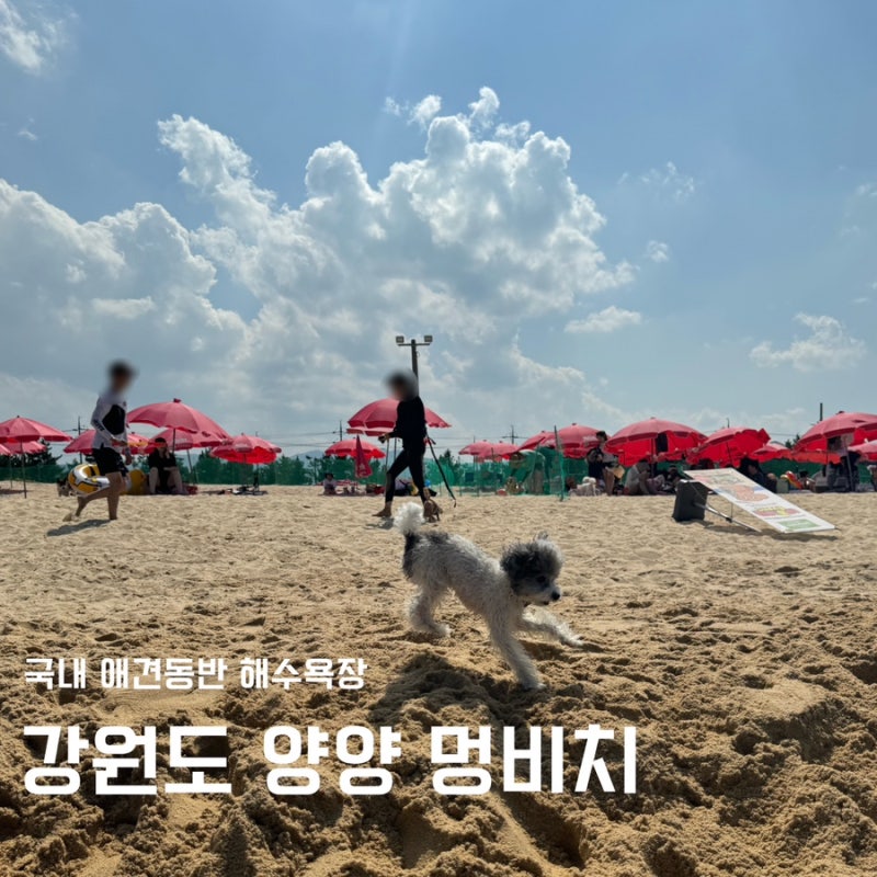 사진 2