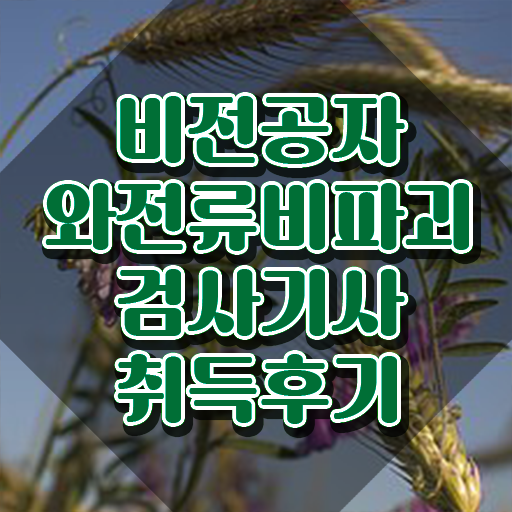  와전류비파괴검사기사 합격 와전류비파괴검사기사 시험자격 독학으로 1학기에 끝낸 비법