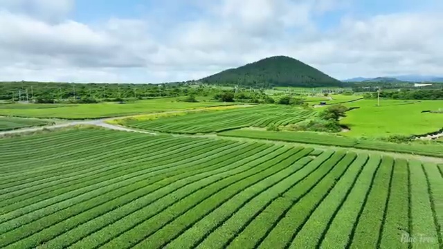  초등학교 수학 문제집 , 문제 없어요