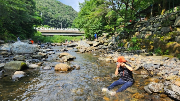  보령 심연동계곡 아이와 계곡 당일치기 나들이! 백숙누룽지라면 먹방