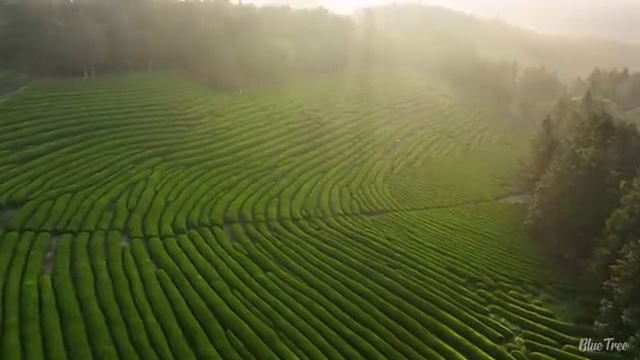  홈페이지리뉴얼 ! 바른웹을 활용해 저렴하게 독립형 홈페이지를 가져보자!