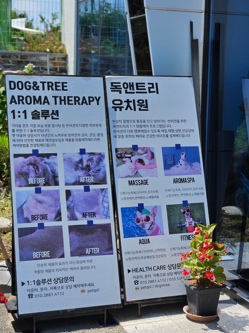 사진 3