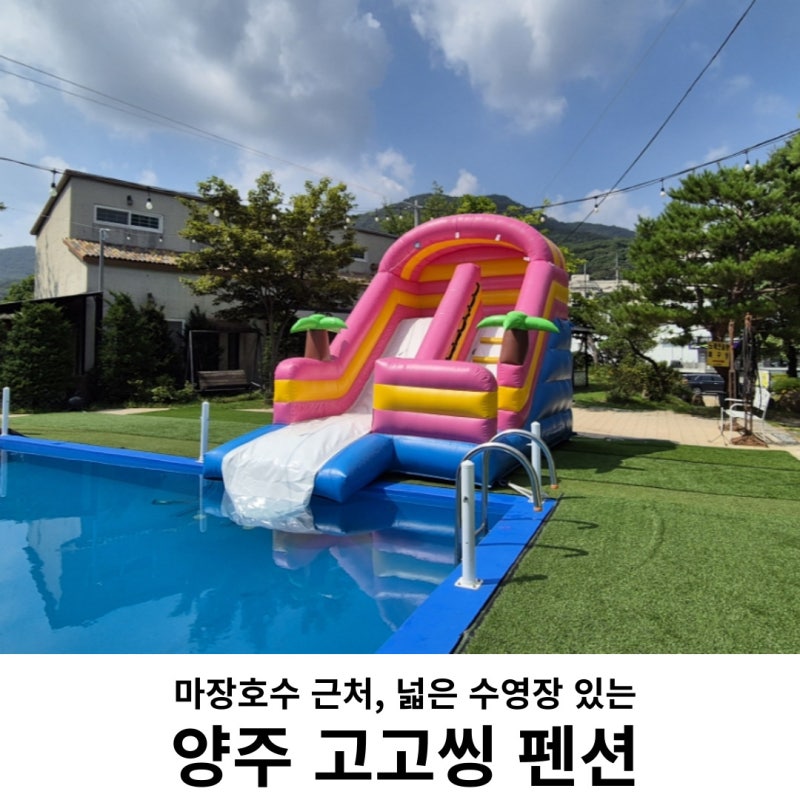 사진 2