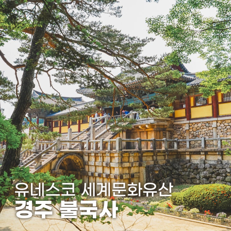  경주 불국사 다보탑 성보문화재 관람 후 석굴암 가는길