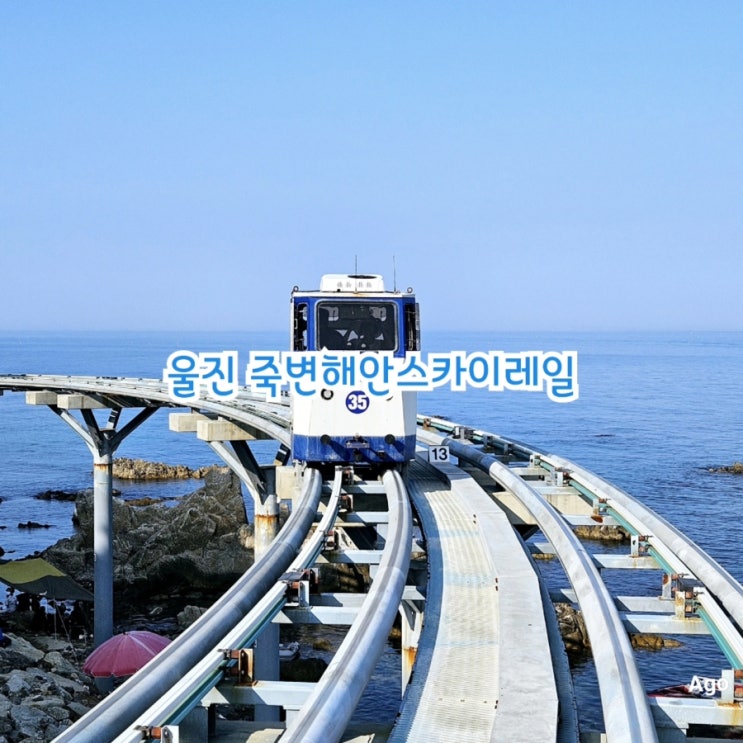  울진가볼만한곳 죽변해안스카이레일 feat 죽변승하차장