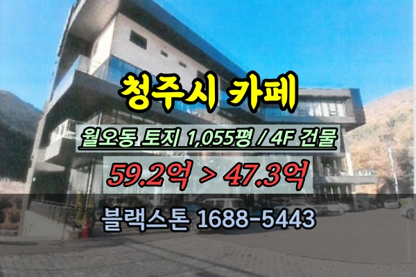  청주 카페 경매 월오동 50억 건물 계곡앞 베이커리 음식점