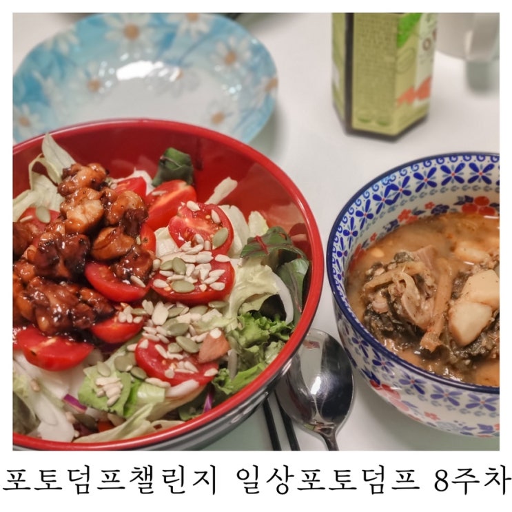  [블챌]포토덤프챌린지 일상포토덤프 8주차
