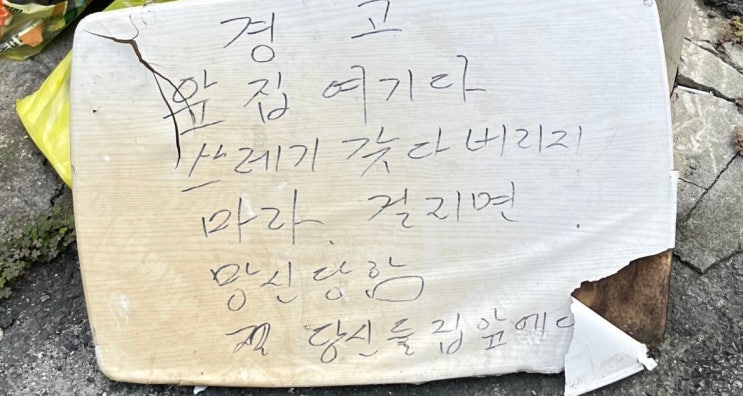  주말 포토 덤프!