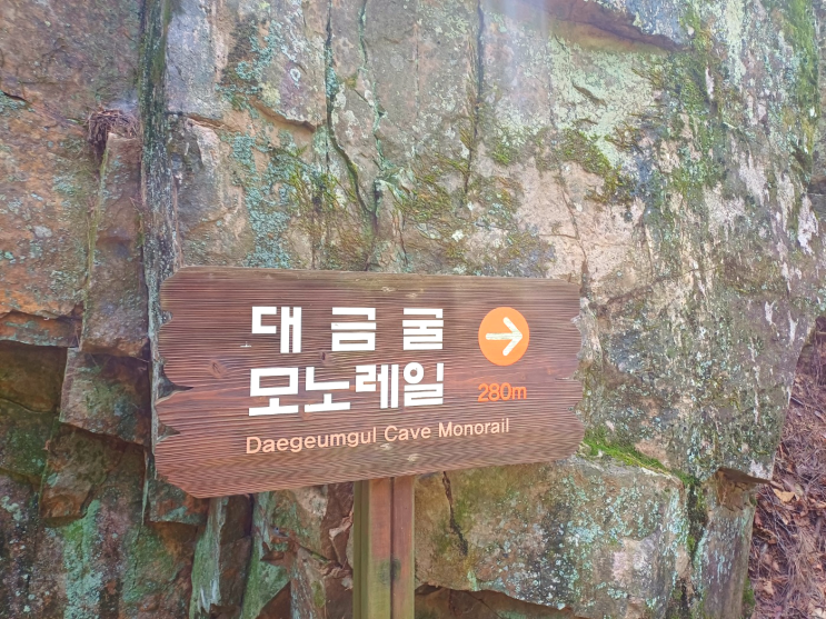  [강원도 기차여행] 동굴의 여왕 대금굴 & 죽서루 & 새천년 해안도로 이사부길 기차여행